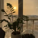 استخدام دستیار پزشک و ادمین جهت کلینیک زیبایی در قشم