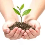 استخدام بهیار یا پرستار یا تکنسین اتاق عمل در برازجان