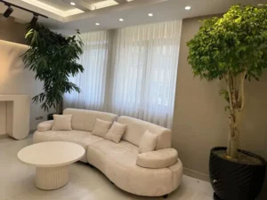استخدام منشی و دستیار پزشک جهت کلینیک زیبایی در مشهد