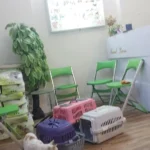 استخدام منشی جهت کلینیک دامپزشکی در منطقه یک تهران