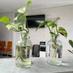 اجاره مطب مجهز به پزشک عمومی یا پزشک خانواده در فضل آباد شیراز