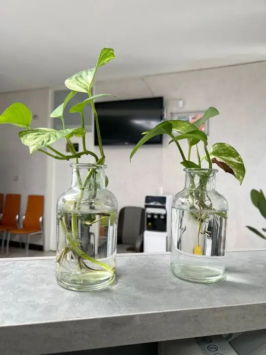 اجاره مطب مجهز به پزشک عمومی یا پزشک خانواده در فضل آباد شیراز