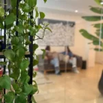 استخدام نیروی پذیرش جهت کلینیک در پاسداران تهران