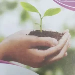 استخدام همکار پرستار، بهیار، ماما و فوریت های پزشکی جهت کلینیک ترک اعتیاد در تبریز