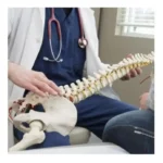 استخدام منشی جهت مطب در میرداماد تهران