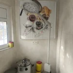 فروش وسایل کلینیک دامپزشکی به علت مهاجرت در شهرقدس تهران