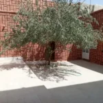 اجاره مطب 200متری در یزد