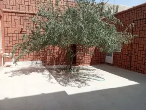 اجاره مطب 200متری در یزد