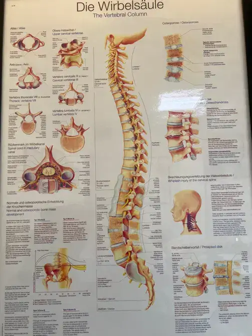 نیازمند دستیار پزشک جهت مطب طب فیزیکی در نصرت تهران