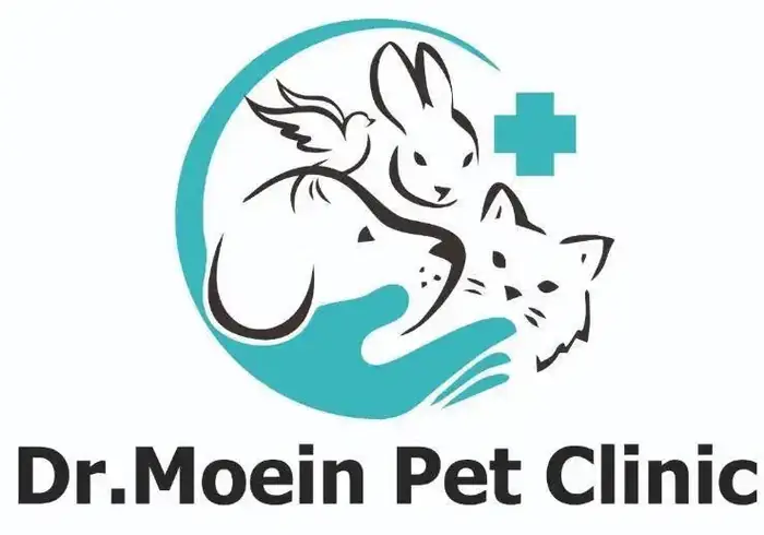 استخدام منشی خانم جهت کلینیک حیوانات خانگی در تبریز