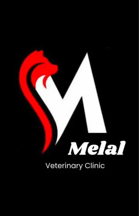 استخدام مسئول پذیرش جهت کلینیک دامپزشکی در مهرشهر کرج