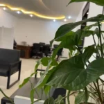 استخدام متخصص تغذیه جهت مجموعه تغذیه و لاغری در مشهد