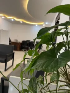 استخدام متخصص تغذیه جهت مجموعه تغذیه و لاغری در مشهد