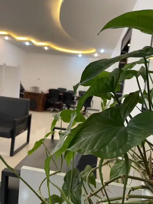 استخدام متخصص تغذیه جهت مجموعه تغذیه و لاغری در مشهد