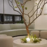 استخدام منشی خانم جهت کلینیک زیبایی در فرمانیه تهران