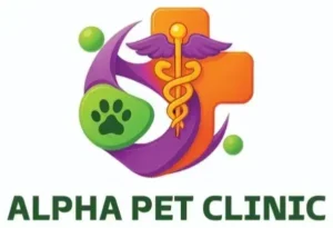 استخدام منشی جهت کلینیک دامپزشکی در اصفهان