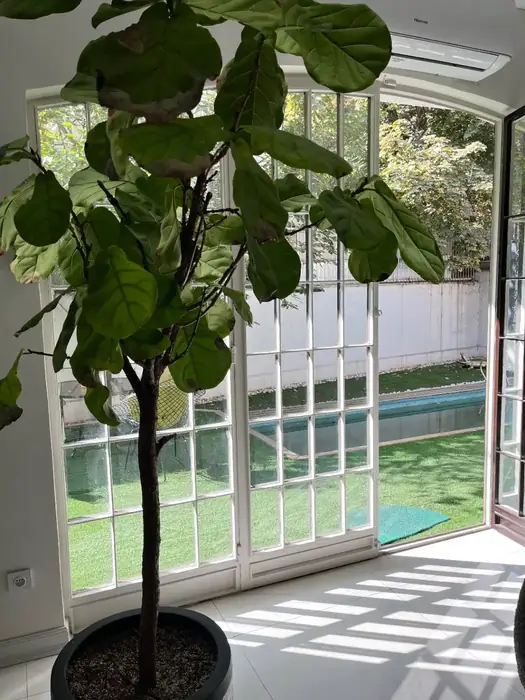 استخدام منشی و دستیار پزشک جهت مطب زیبایی در الهیه تهران