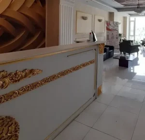 نیازمند دستیار پزشک جهت کلینیک زیبایی در تهران