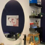 نیازمند فیشیال کار حرفه ای جهت کلینیک زیبایی در بجنورد استان خراسان شمالی