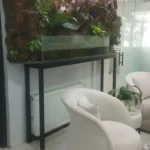 استخدام منشی جهت کلینیک زیبایی در سجادشهر مشهد