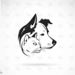 استخدام منشی جهت کلینیک دامپزشکی در خشکبیجار استان گیلان