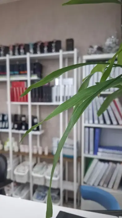 استخدام منشی جهت مطب زیبایی در فردیس کرج