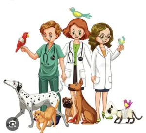 استخدام منشی دامپزشکی جهت کلینیک در مهرشهر کرج