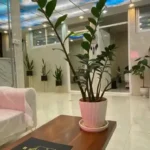 نیازمند پزشک عمومی مسلط به فیلر و بوتاکس جهت کلینیک زیبایی در حاجی‌آباد کرج