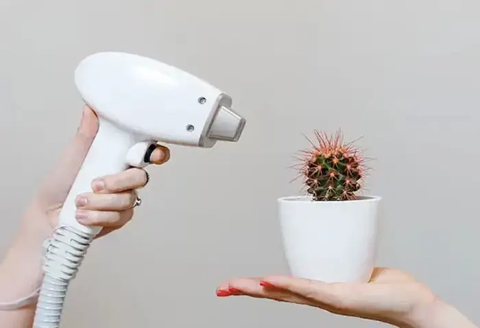 استخدام اپراتور لیزر و منشی جهت کلینیک زیبایی در رشت