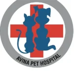 استخدام مسئول پذیرش جهت کلینیک دامپزشکی در امانیه تهران