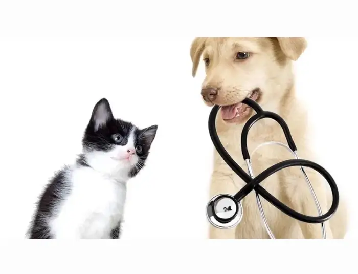 استخدام منشی جهت درمانگاه دامپزشکی در شیراز