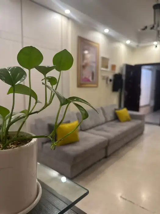 استخدام اپراتور لیزر دستگاه کندلا جهت کلینیک پوست و مو در هروی تهران