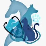 استخدام منشی جهت کلینیک دامپزشکی در سمیرم استان اصفهان