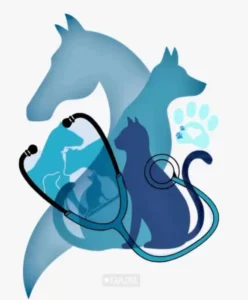 استخدام منشی جهت کلینیک دامپزشکی در سمیرم استان اصفهان