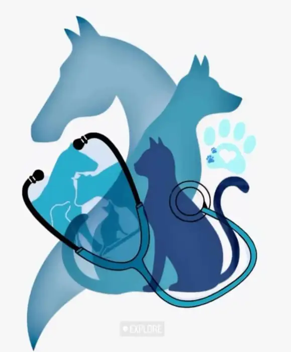 استخدام منشی جهت کلینیک دامپزشکی در سمیرم استان اصفهان