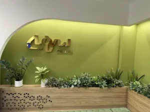 استخدام تکنسین تزریق ژل و بوتاکس جهت مرکز لاغری و لیزر سرمه در سلطان‌آباد اصفهان