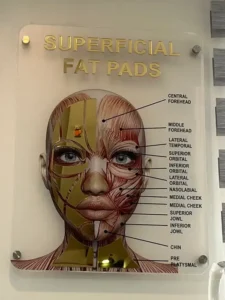 دعوت به همکاری از فوق تخصص اطفال جهت کلینیک پوست و مو در شهرک چیتگر تهران