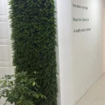 استخدام پزشک متخصص پوست و مو جهت کلینیک زیبایی در فرهنگ مشهد