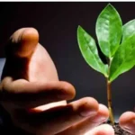 استخدام بهیار، پرستار و ماما جهت کلینیک ترک اعتیاد در گوهردشت کرج