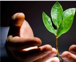 استخدام بهیار، پرستار و ماما جهت کلینیک ترک اعتیاد در گوهردشت کرج