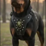 استخدام منشی جهت کلینیک دامپزشکی در کرج