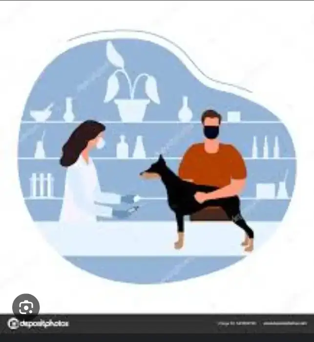 استخدام منشی جهت کلینیک دامپزشکی حیوانات خانگی در شهریار