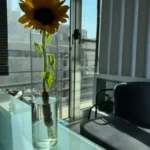 استخدام منشی خانم جهت مطب لاغری و زیبایی در اصفهان