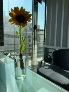 استخدام منشی خانم جهت مطب لاغری و زیبایی در اصفهان