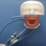 فروش ماکت کله جهت آموزش و تمرین دندانپزشکی در دزفول استان خوزستان