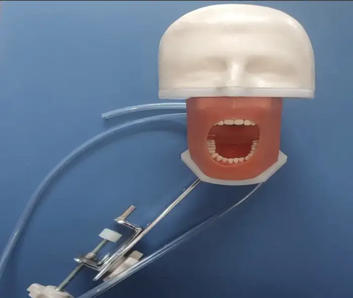 فروش ماکت کله جهت آموزش و تمرین دندانپزشکی در دزفول استان خوزستان