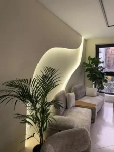 استخدام فیشیال کار حرفه ای جهت کلینیک زیبایی در سعادت‌آباد تهران