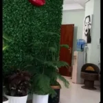 اجاره اتاق از مطب در باشگاه نفت تهران