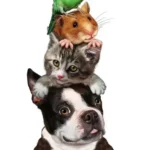 استخدام منشی و دستیار جهت کلینیک دامپزشکی در شهران شمالی تهران