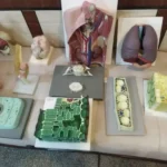 فروش تجهیزات آزمایشگاهی دبیرستان در شوش استان خوزستان